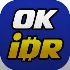 OKIDR - Keseruan Bermain Santai di Ujung Jari
